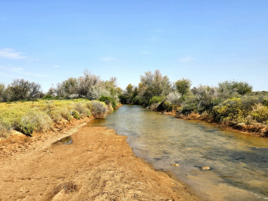 Commercial Property for Sale in Kenhardt Northern Cape
